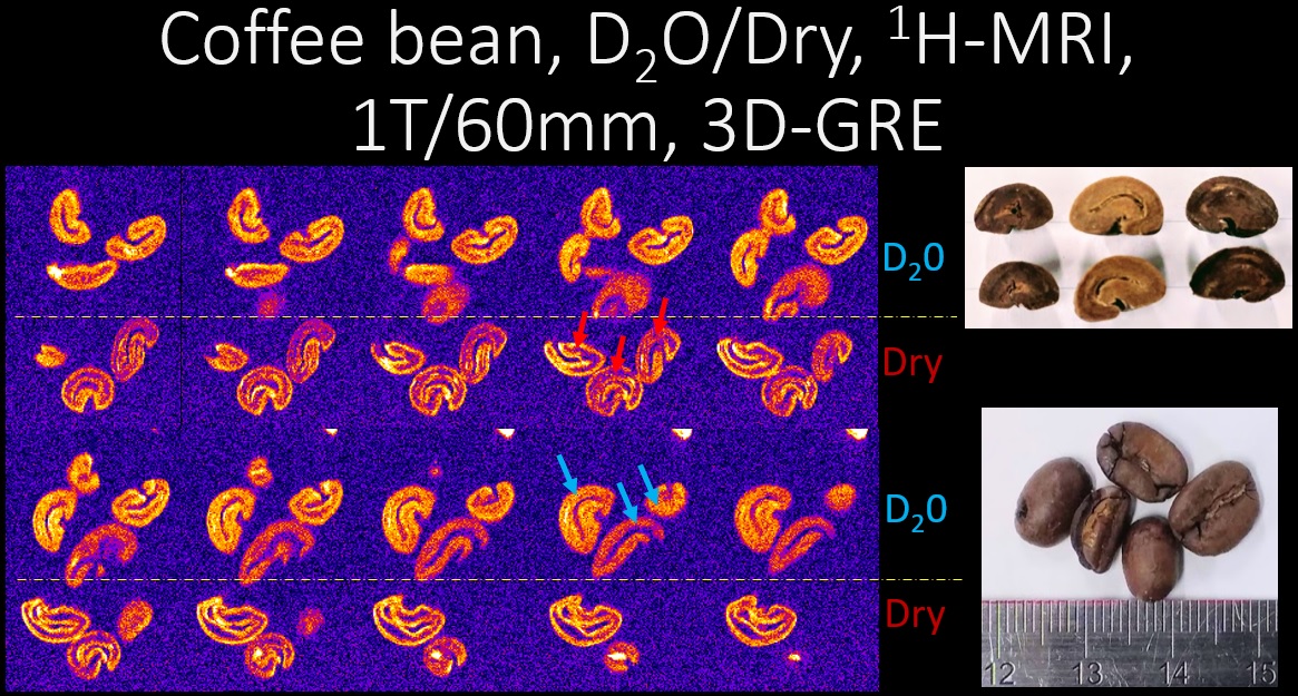 研究情報：コーヒー焙煎豆の1H-MRI～水分量は数％程度～ | MRTechnology（株式会社エム・アール・テクノロジー）ポータブルＭＲＩ  コンパクトＭＲＩ 小型ＭＲＩ デスクトップＭＲＩ ベンチトップＭＲＩ